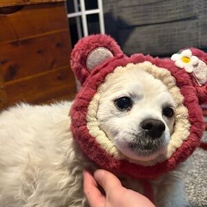 Meet your Posher, Kadynce